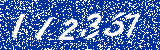 Capcha image