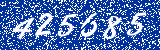 Capcha image